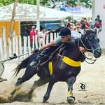 pedroripa12349 - @pedroripa12349 - Instagram