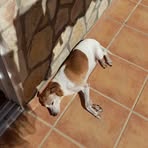 Pedro Risco - Facebook
