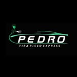 Pedro Tira Risco ✨🚘⚒ - @pedrotirarisco - Instagram