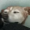 Pedro Rosete - @pedro_rosete - TikTok