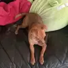 Pedro Rosete - @pedrorosete84 - TikTok