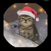 pedro :) - @pedroruano01 - TikTok