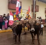 Pedro Saavedra - Facebook