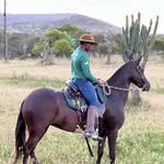 Pedro Santana - @pedro_santana_ofc_ - Instagram