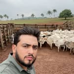 Pedro Santana-Compra de Gado - @eusoupedrosantana - Instagram