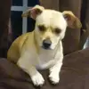 PedroSantana - @pedrosantana1867 - TikTok
