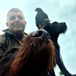 Freebird Of Reason Saunders - @pedrosaunders226 - Instagram