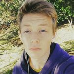 pedro schaeffer - @schaeffer.pedro - Instagram