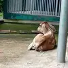 Pedro Sorto - @pedro.sorto2 - TikTok