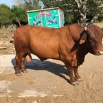 Pedro Ramirez Tejeda - @ramireztejedapedro - Instagram