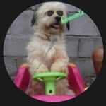 Evaristo Pedro Ticona Flores - @pedro_ticona_flores - Instagram