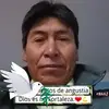 Pedro Ticona - @pedro.ticona66 - TikTok