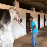 @pedro__treinador - Instagram