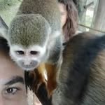 Pedro Sastre Valbuena - @pedrosastrevalbuena - Instagram