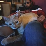 Pedro Varandas - @pedrovarandas29 - Instagram