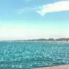 pedro_viera0 - @pedro_viera0 - TikTok