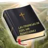 pedroviera795 - @pedroviera795 - TikTok