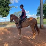 Pedro Henrique Xavier - @_pedroxavier01 - Instagram