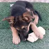 Pedro . Andrés - @pedro.ayax - TikTok
