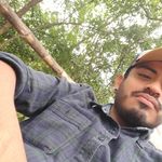 Pedro Zárate - @pegro_zarate - Instagram