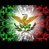 pedro zarate - @pedro.zarate54 - TikTok