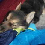 Peet Botha - @peet_651 - Instagram