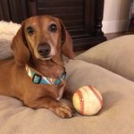 PeeWee Banana Smith - @peeweesmithh - Instagram