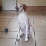 Peter Smith - @peeweesmith86 - Instagram