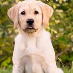 Peg Anderson - @peg.anderson.3958 - Instagram
