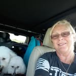 Peggy j wood - @pegbaker53 - Instagram