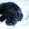 Peggy.Baker - @peggybakerdvshup - TikTok