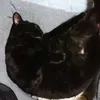 Peggy.Baker - @hessewotujl - TikTok