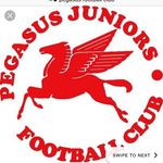 Pegballers_12 - @pegballers_12 - Instagram