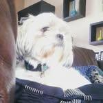 Peggy+Barney+Bella - @x.barney.peggy.bella.x - Instagram