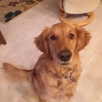 Peg Berger - @berger.peg - Instagram