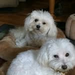 Peg Burns - @peggy.burns.5070 - Instagram