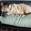 Peggy Burns735 - @peggyburns735 - TikTok