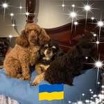 Peggy Burns - @pburns974 - Instagram