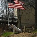 Peggy Carroll - @carroll.peggy - Instagram