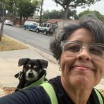 Peggy Carroll - @pcarrollart - Instagram
