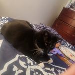 Peg Clark - @pegc66 - Instagram