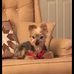 Peg Connor Gugliotta - Facebook