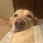 Peggy Conroy Sutliff - @peggysutliff - Instagram