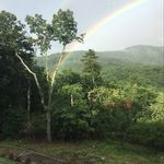 Peggy Daly - @peggycord - Instagram