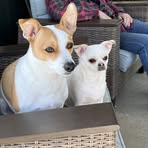 Peg Duffy - Facebook