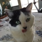 Peg Edwards - @peggy_pap_edwards - Instagram