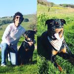 Peg Fordney - @pegfordney - Instagram
