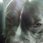 Peggy Ford - @peggy.ford.562 - Instagram