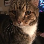 Peggy Ford - @peggie.ford - Instagram