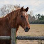 Peggy Ford - @peggy.ford.904 - Instagram